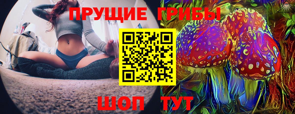 Псилоцибиновые грибы GOLDEN TEACHER Вольск